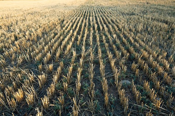 Les meilleurs conseils pour gérer les plaintes des clients dans votre restaurant bar